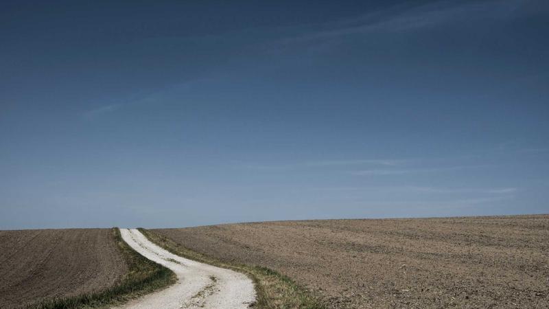 Course workflow
